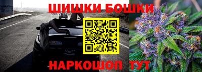шишки Заводоуковск
