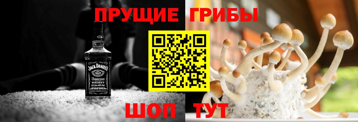 Можга  Галлюциногенные грибы мухоморы  Вход с VPN 